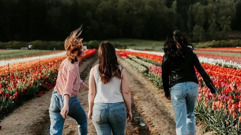 QDV fiori_colore-jpg